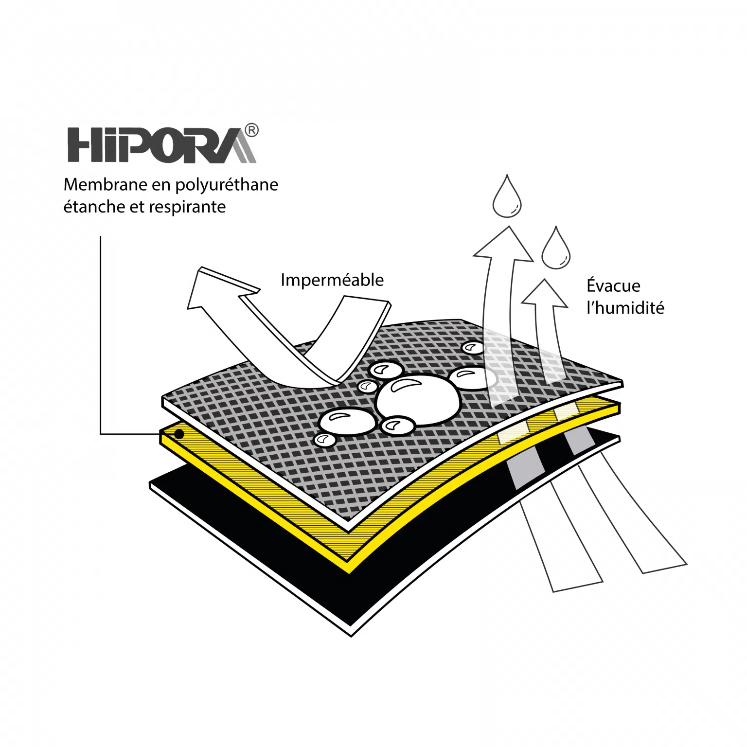 hipora