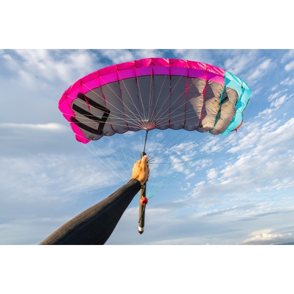 2_ensis-roger_color-coded-bridles_by-tobias-meier-scaled