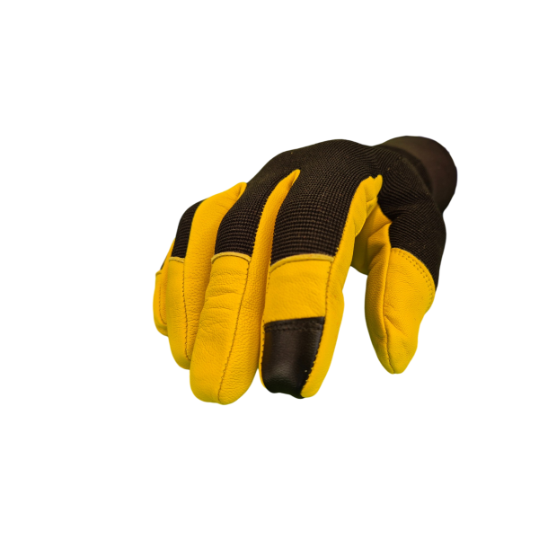 citrin-front1500-2000