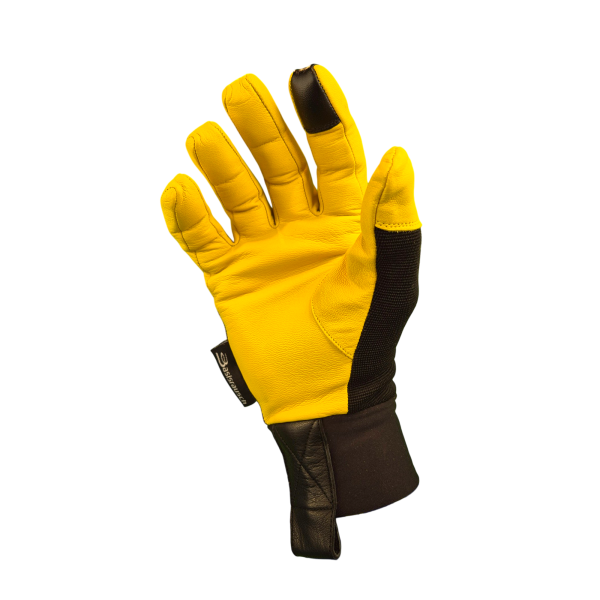 citrin-palm1-1500-2000