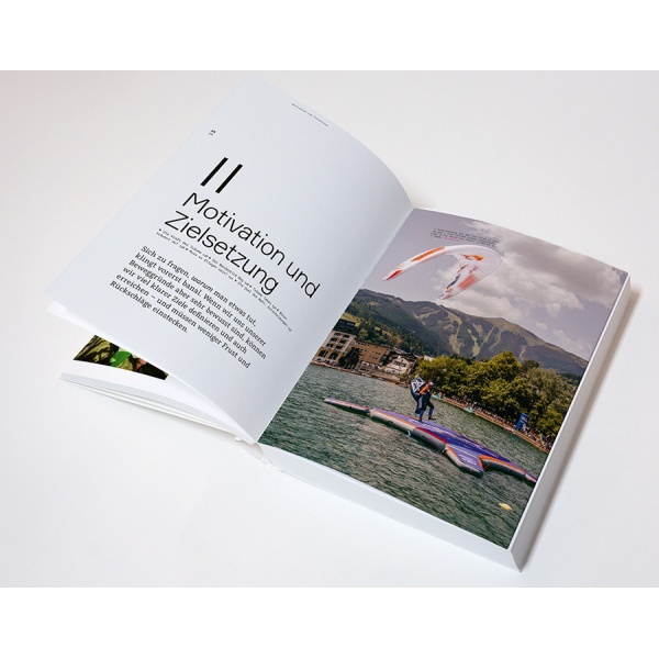 wanderbird-strategy2