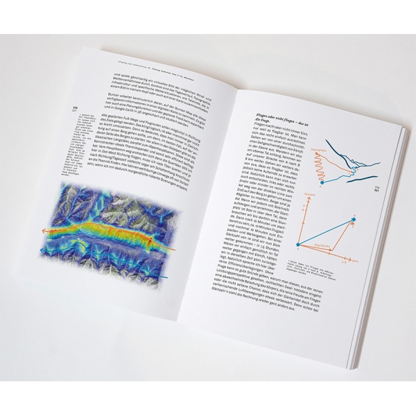 wanderbird-strategy3_1344153203