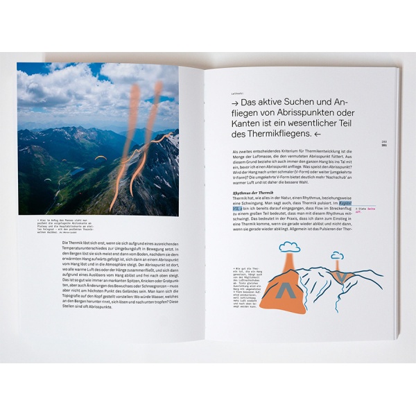 wanderbird-strategy4