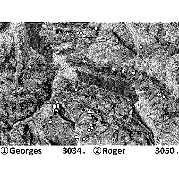 xctracer-fanet-radar