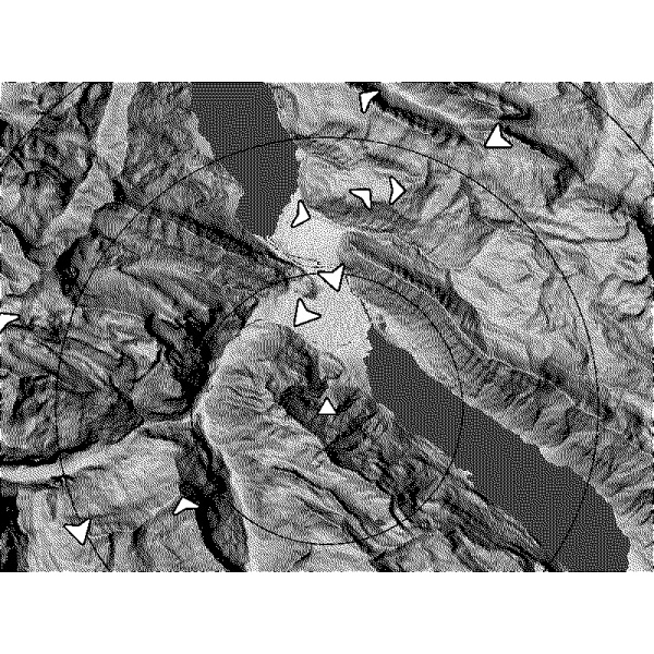 xctracer-windanzeige